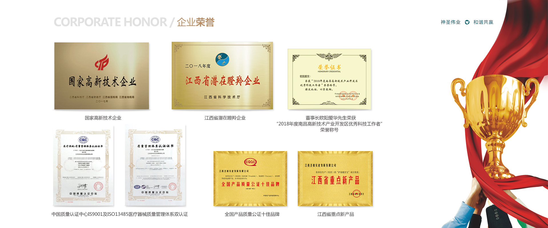 企业荣誉